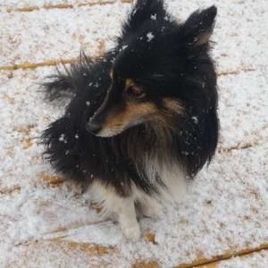 Meet your Posher, Lynn